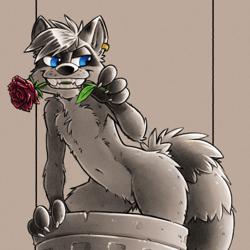 Flirty Trashpanda