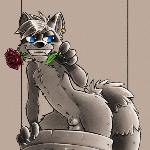Flirty Trashpanda (nsfw)